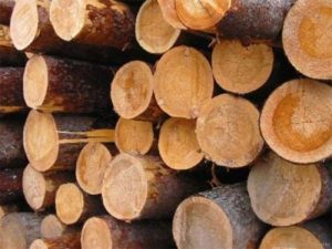 xuất khẩu gỗ cao su