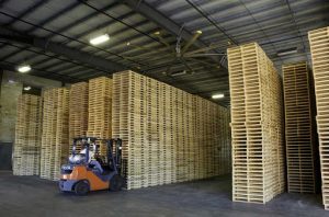 xuất khẩu gỗ pallet