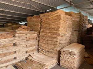 xuất khẩu gỗ ván lạng